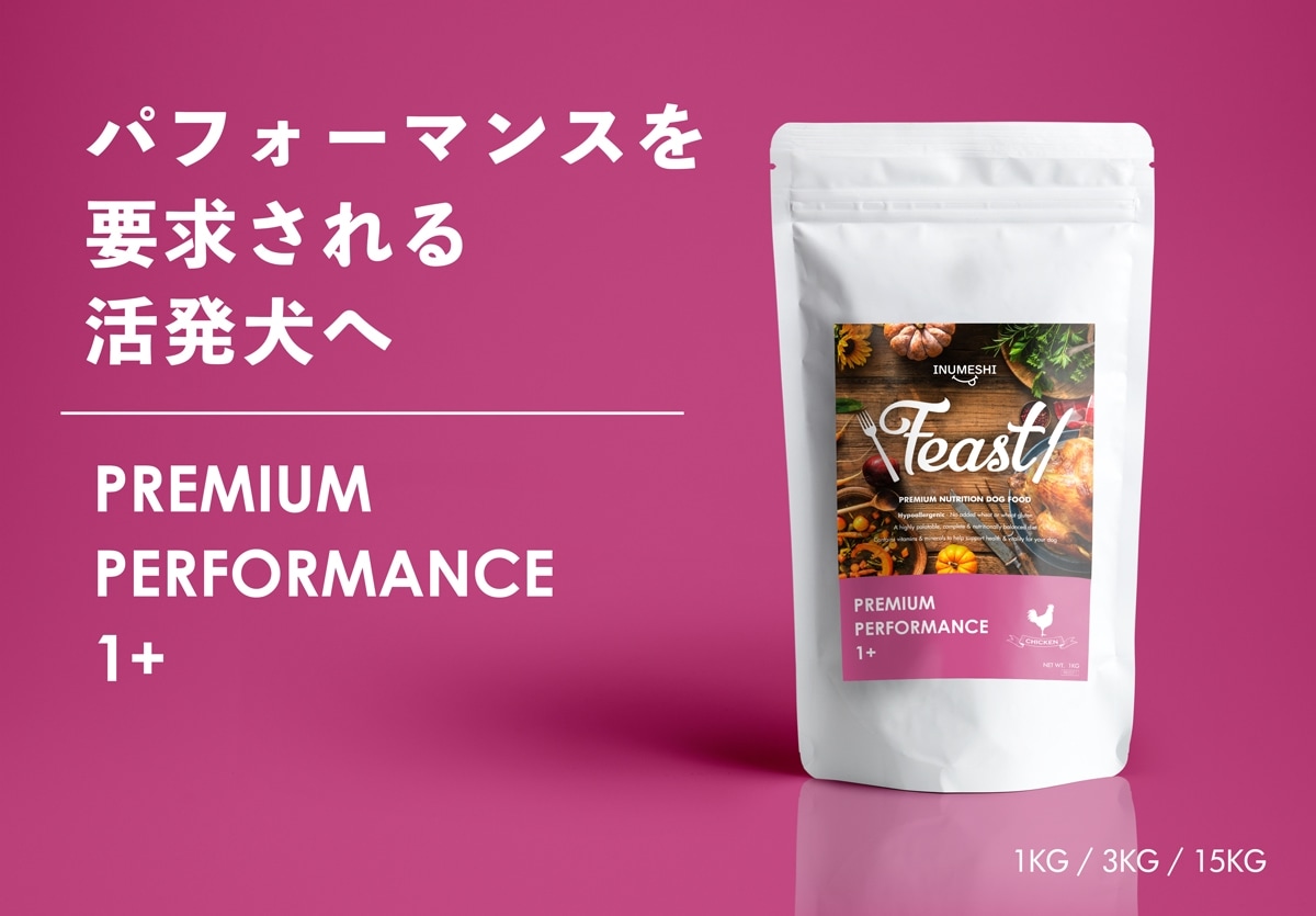 INUMESHIフィーストパフォーマンス1歳以上用活発犬用