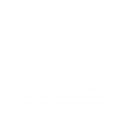 INUMESHIフィースト