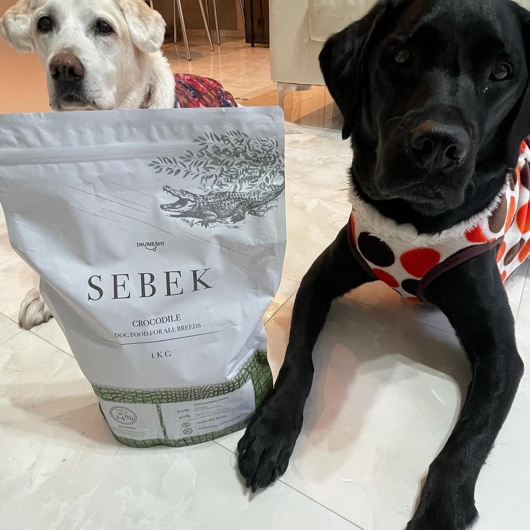 INUMESHIセベクのインスタグラム画像