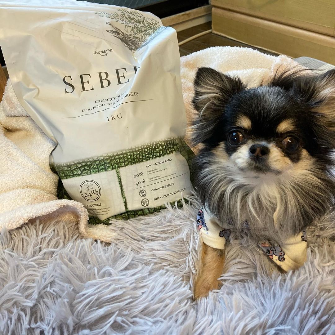 INUMESHIセベクのインスタグラム画像