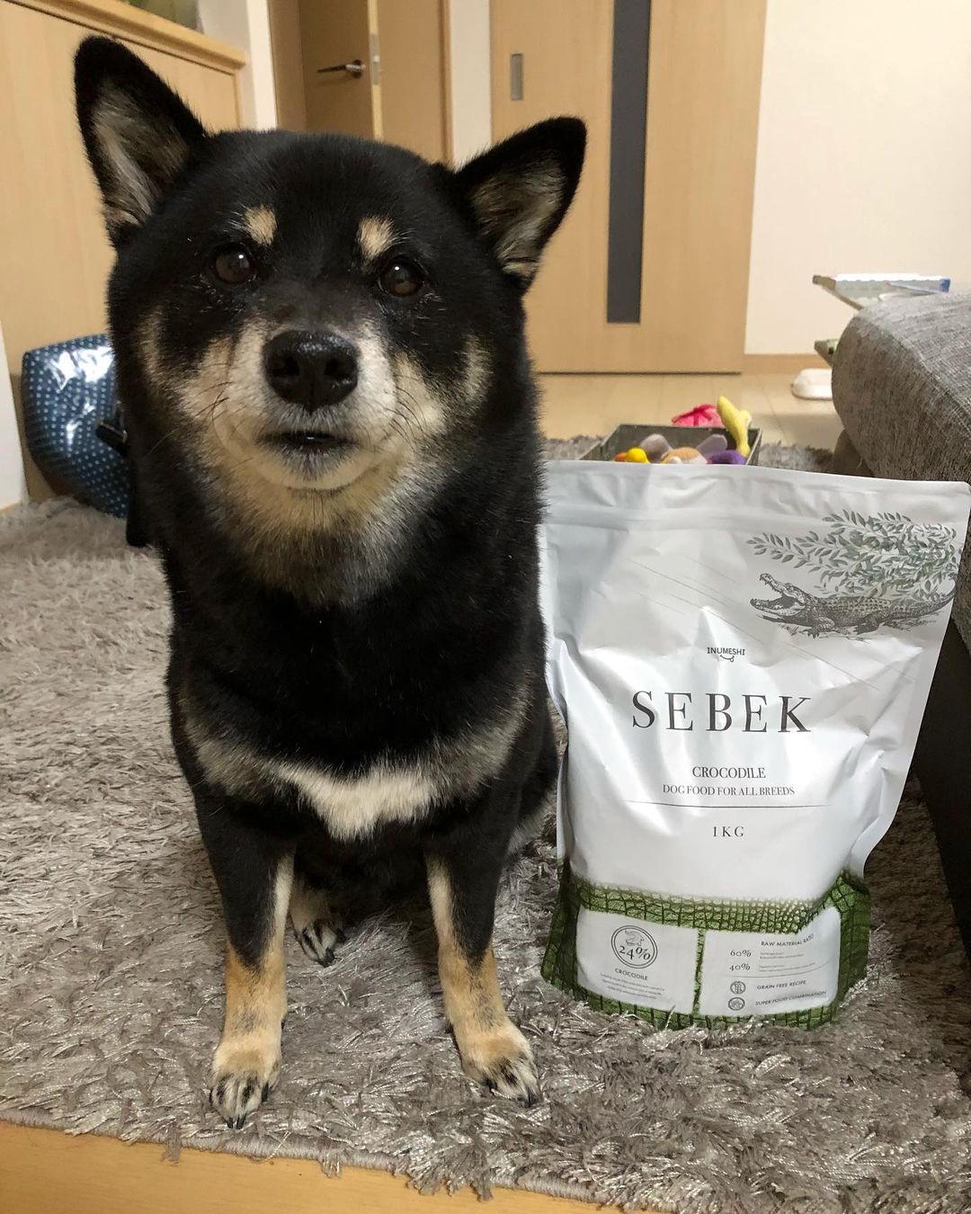 INUMESHIセベクのインスタグラム画像