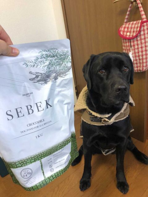 INUMESHIセベクのインスタグラム画像