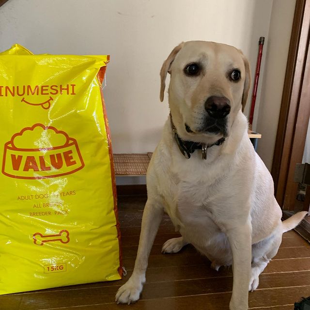 INUMESHIバリュー