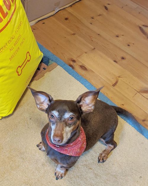 INUMESHIバリュー