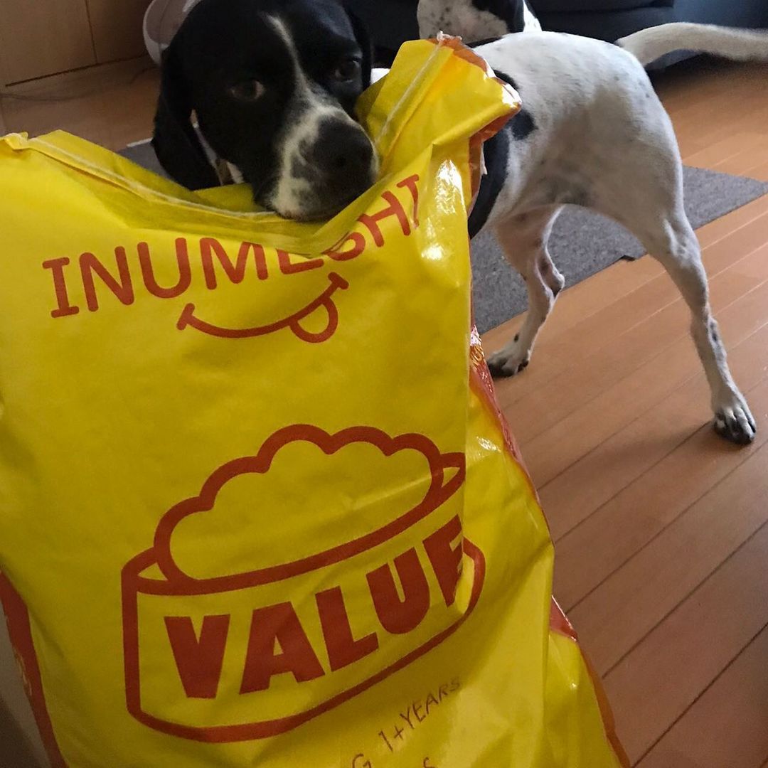 INUMESHIバリュー