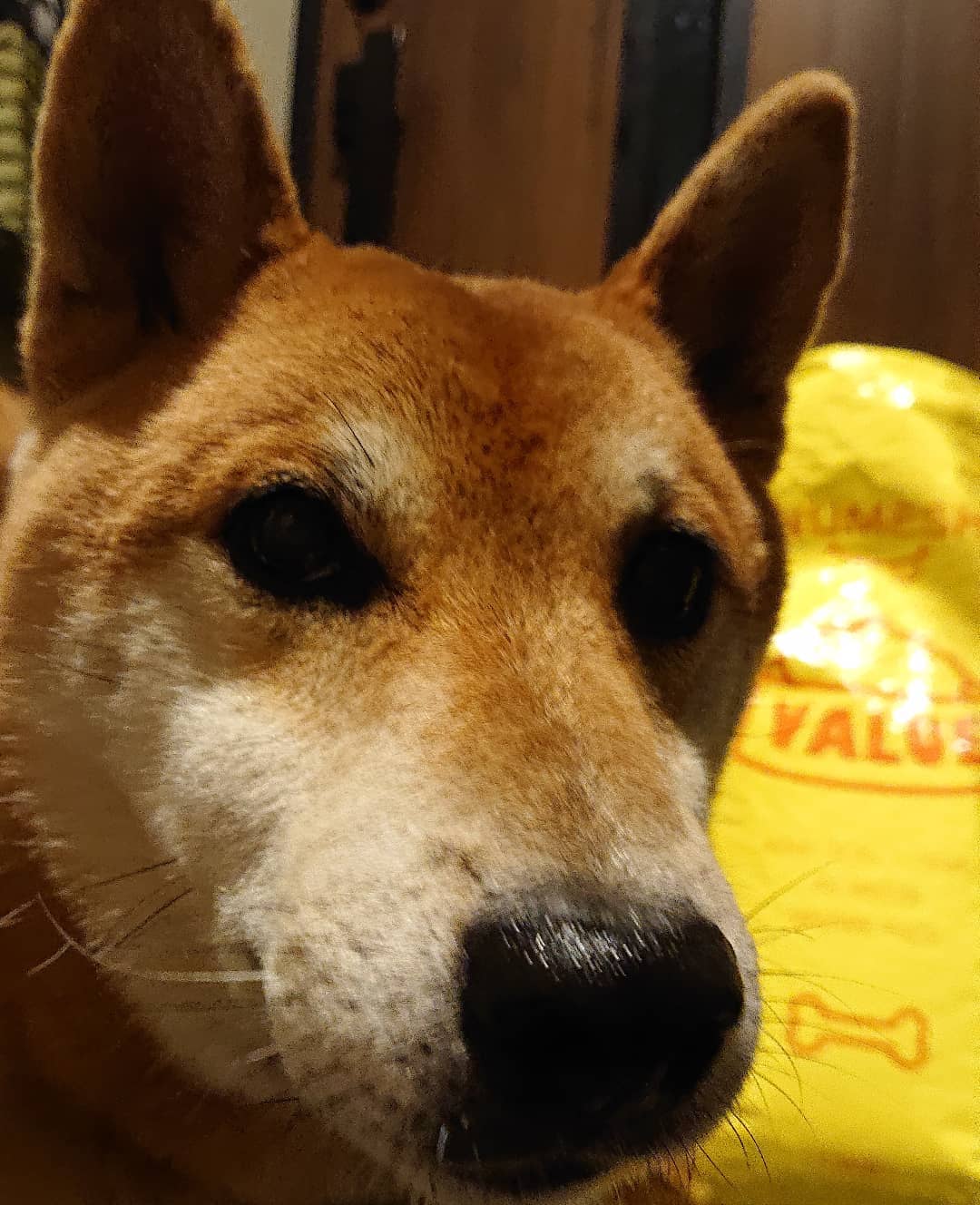 INUMESHIバリュー