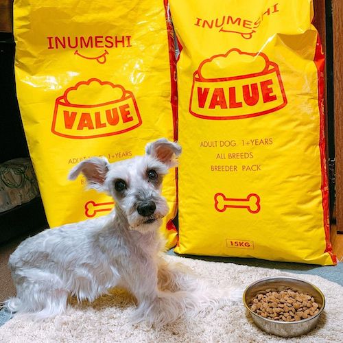 INUMESHIバリュー