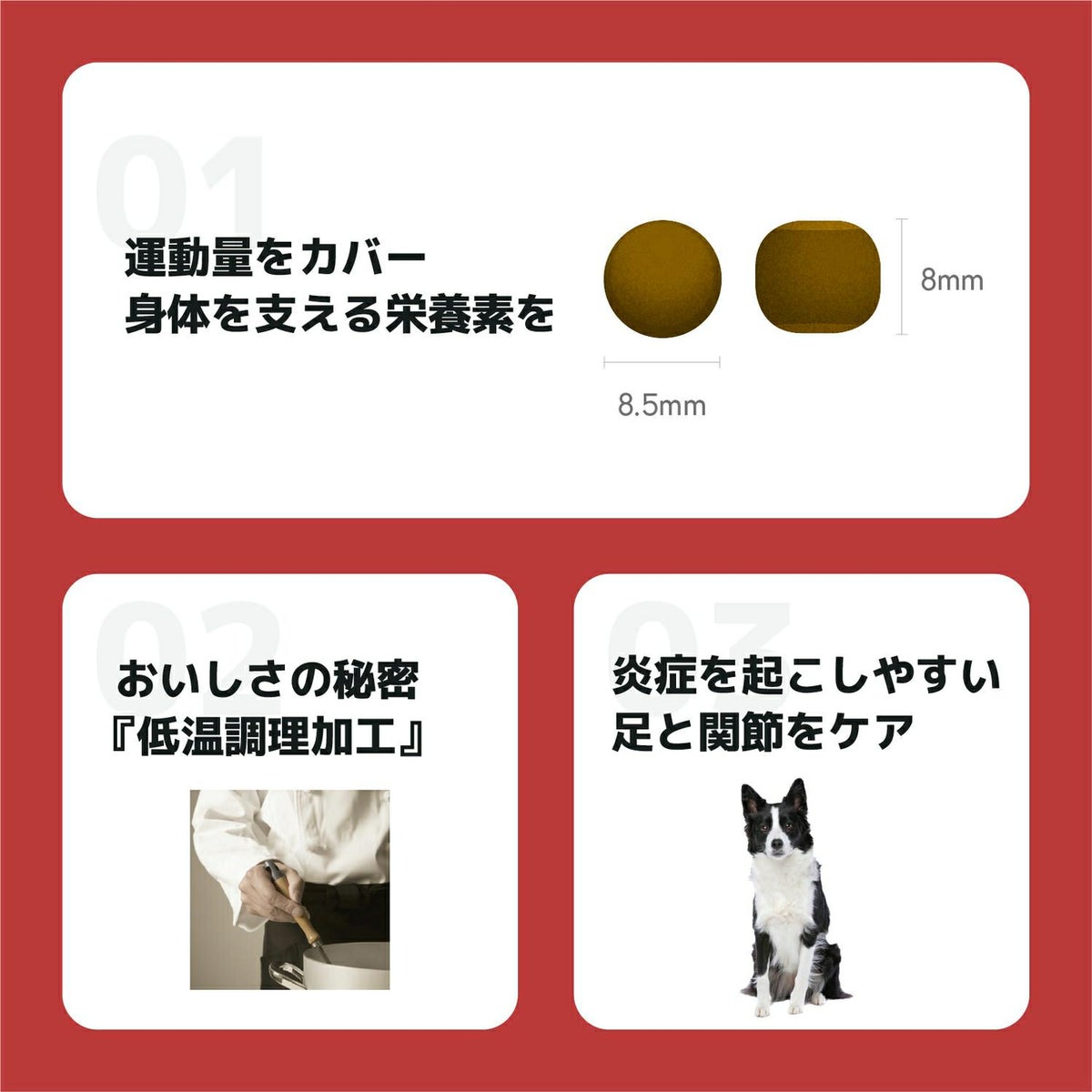 INUMESHI　フィースト　プレミアム　スポーツ　1歳以上　活発犬用　15kg　ブリーダーパック