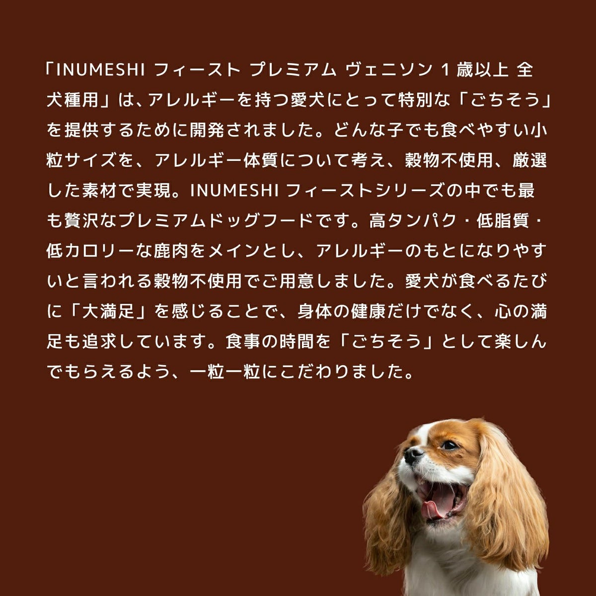 INUMESHI　フィースト　プレミアム　ヴェニソン　成犬用　全犬種用　1歳以上　12kg　ブリーダーパック　穀物不使用 （グレインフリー）