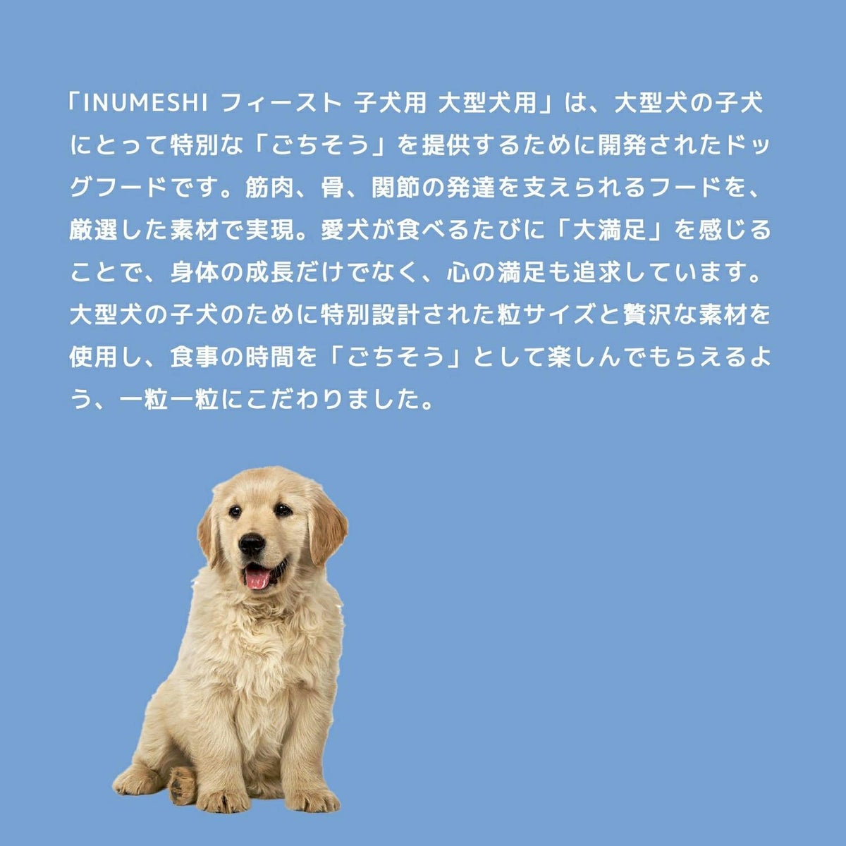 INUMESHI　フィースト　子犬用　大型犬用　1kg