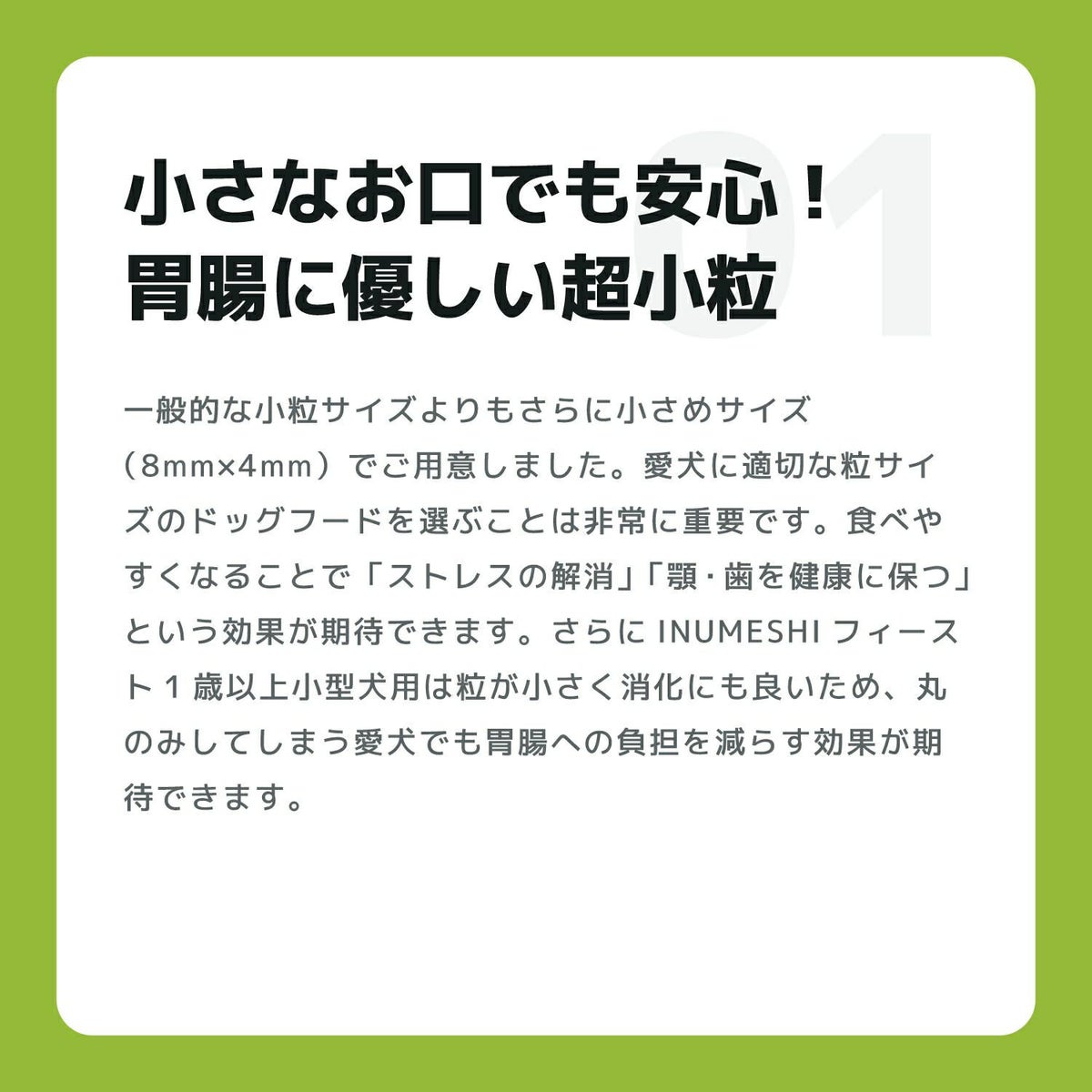  INUMESHI　フィースト　1歳以上　小型犬用　1kg