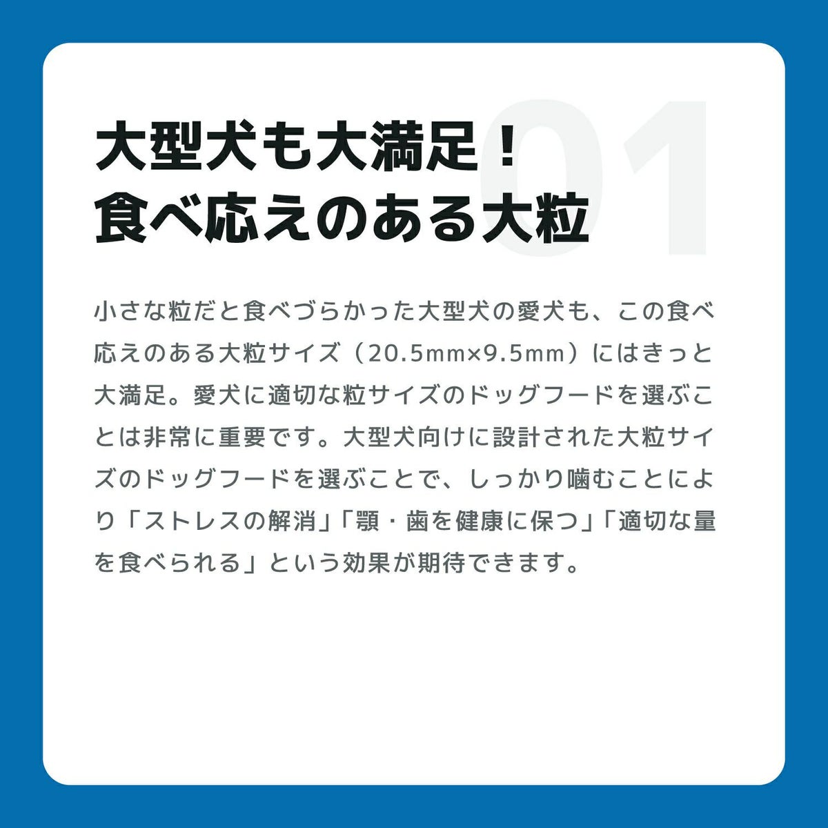INUMESHI　フィースト　1歳以上　大型犬用　1kg