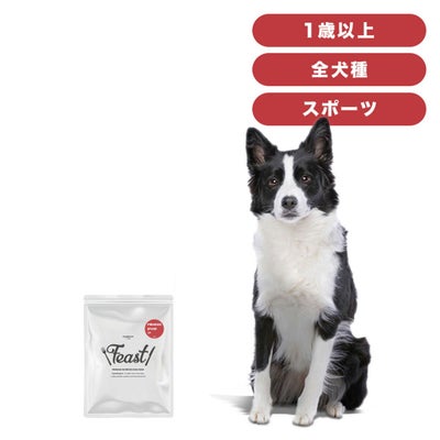 INUMESHI　フィースト　プレミアム　スポーツ　1歳以上　活発犬用　200g（100g×2袋）　おためしパック