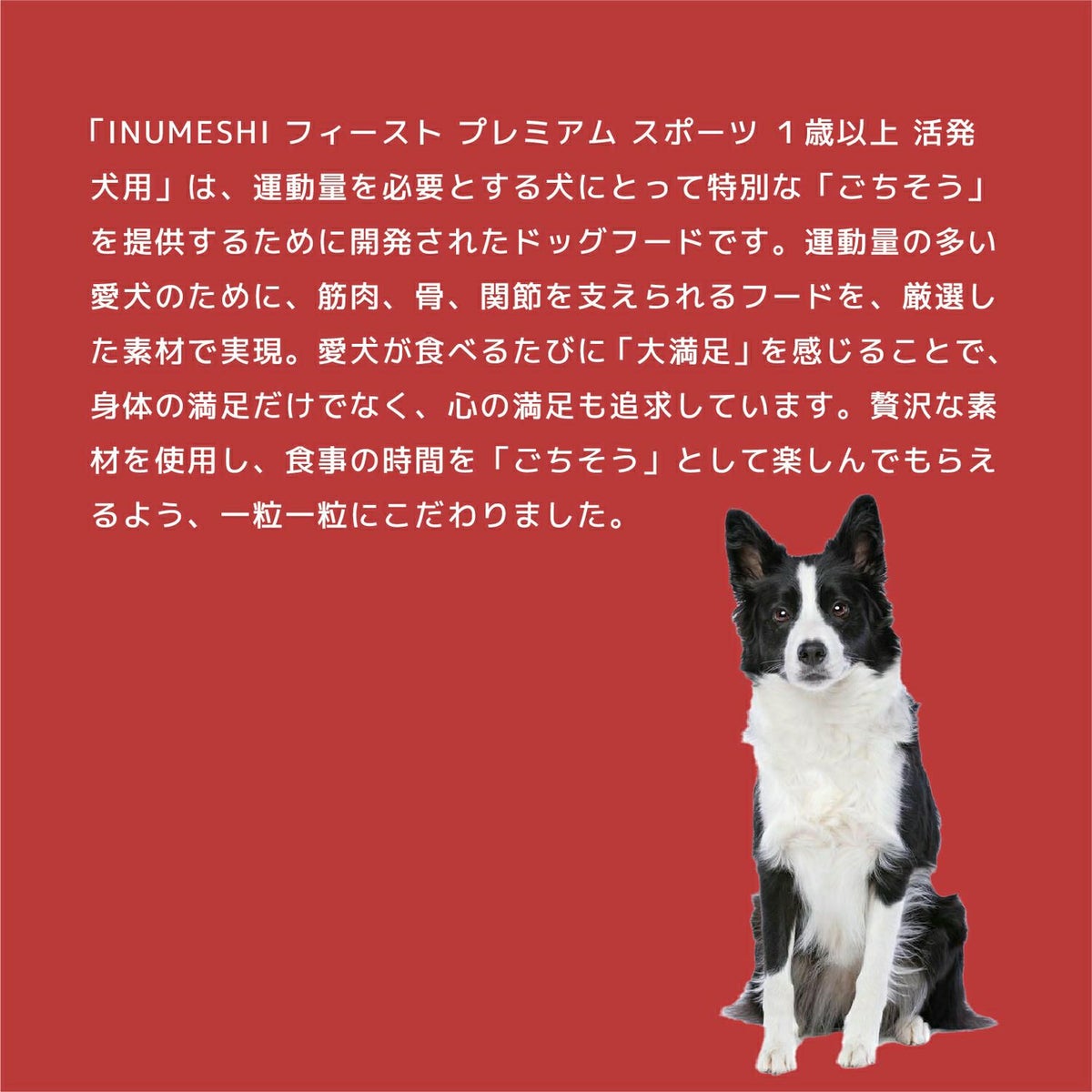 INUMESHI　フィースト　プレミアム　スポーツ　1歳以上　活発犬用　200g（100g×2袋）　おためしパック