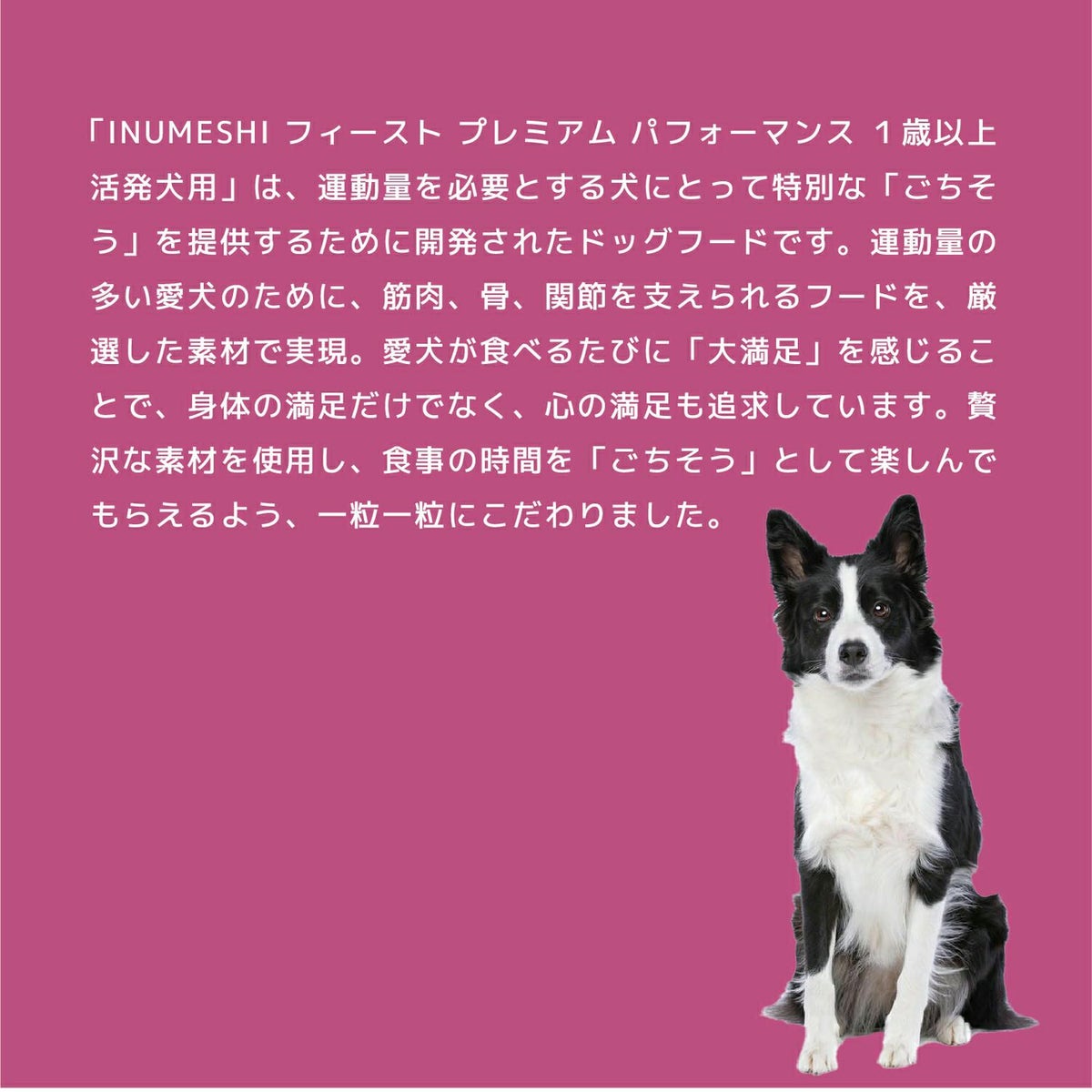 INUMESHI　フィースト　プレミアム　パフォーマンス　1歳以上　活発犬用　1kg