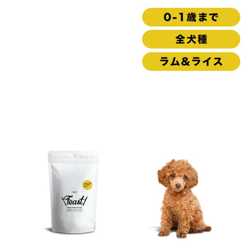 INUMESHI　フィースト　ラム&ライス　子犬用　全犬種用　1kg