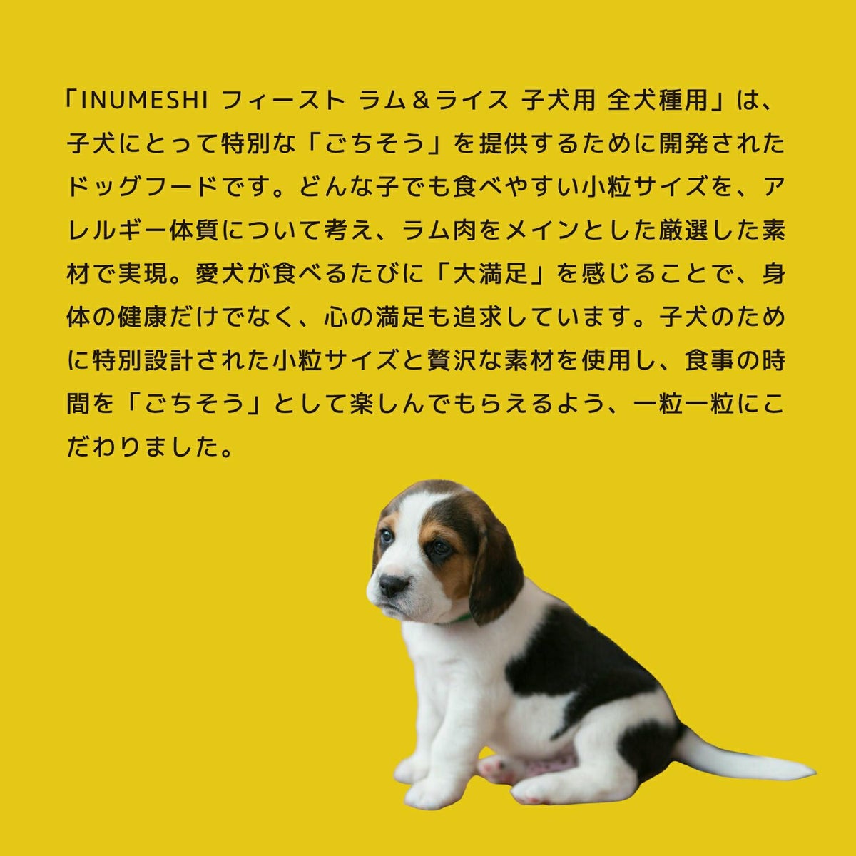 INUMESHI　フィースト　ラム&ライス　子犬用　全犬種用　1kg