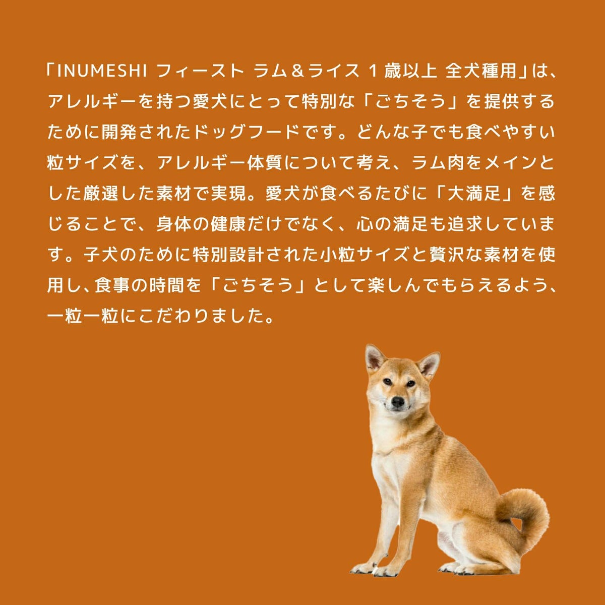 INUMESHI　フィースト　ラム&ライス　1歳以上　全犬種用　1kg