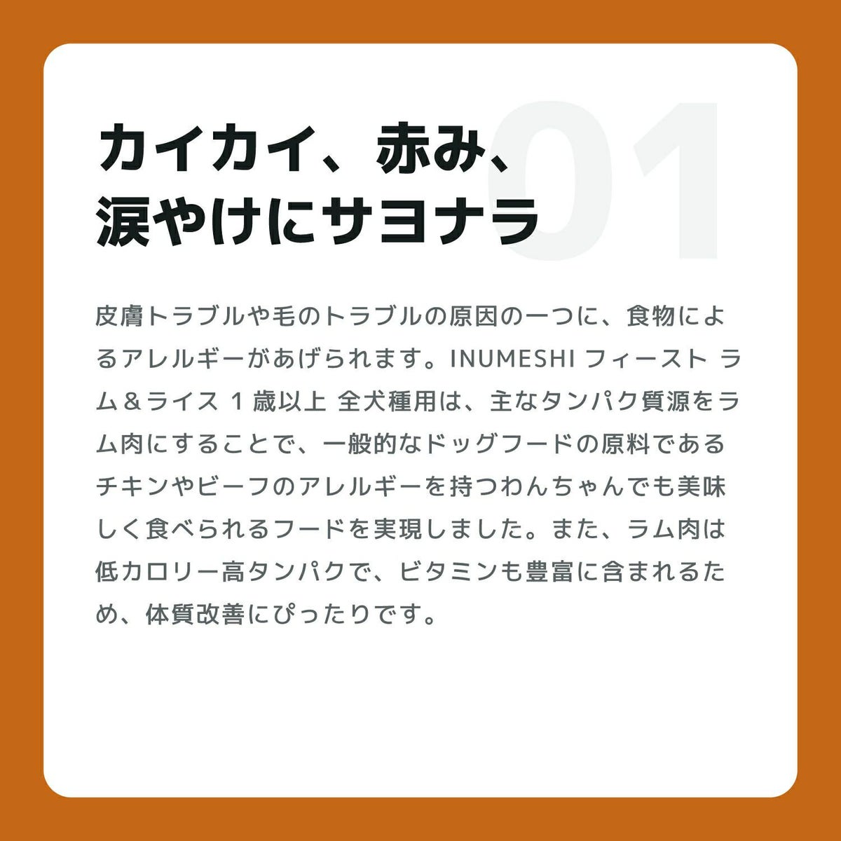 INUMESHI　フィースト　ラム&ライス　1歳以上　全犬種用　1kg