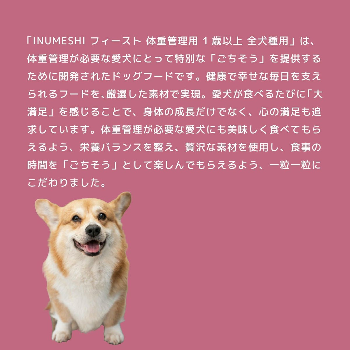 INUMESHI　フィースト　体重管理用　1歳以上　全犬種用　1kg