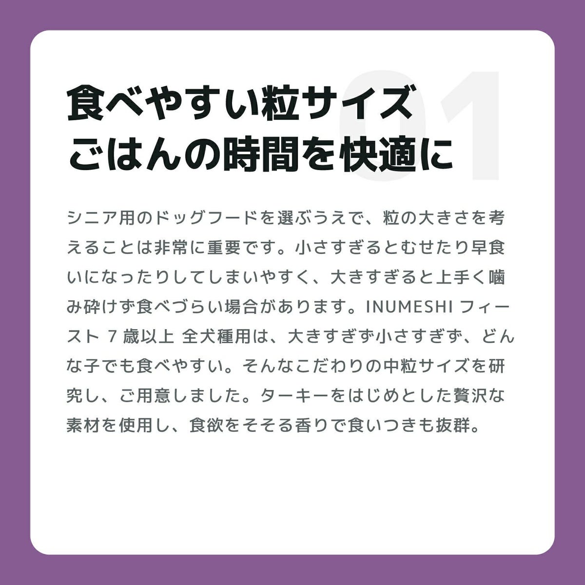  INUMESHI　フィースト　7歳以上　全犬種用　1kg