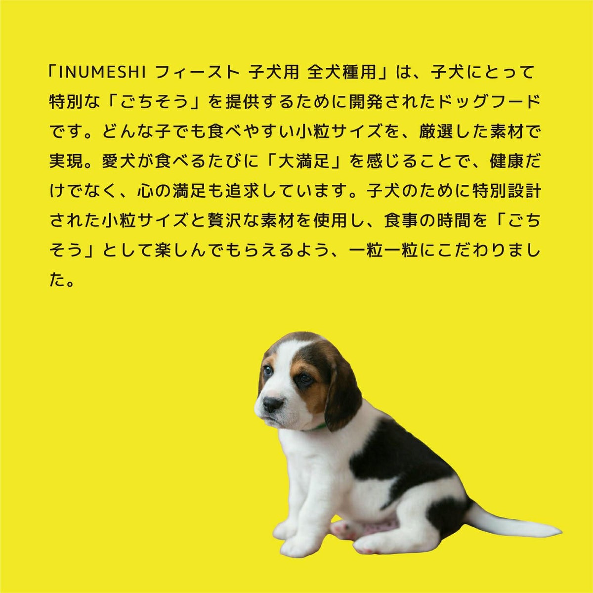 INUMESHI　フィースト　子犬用　全犬種用　200g（100g×2袋）　おためしパック