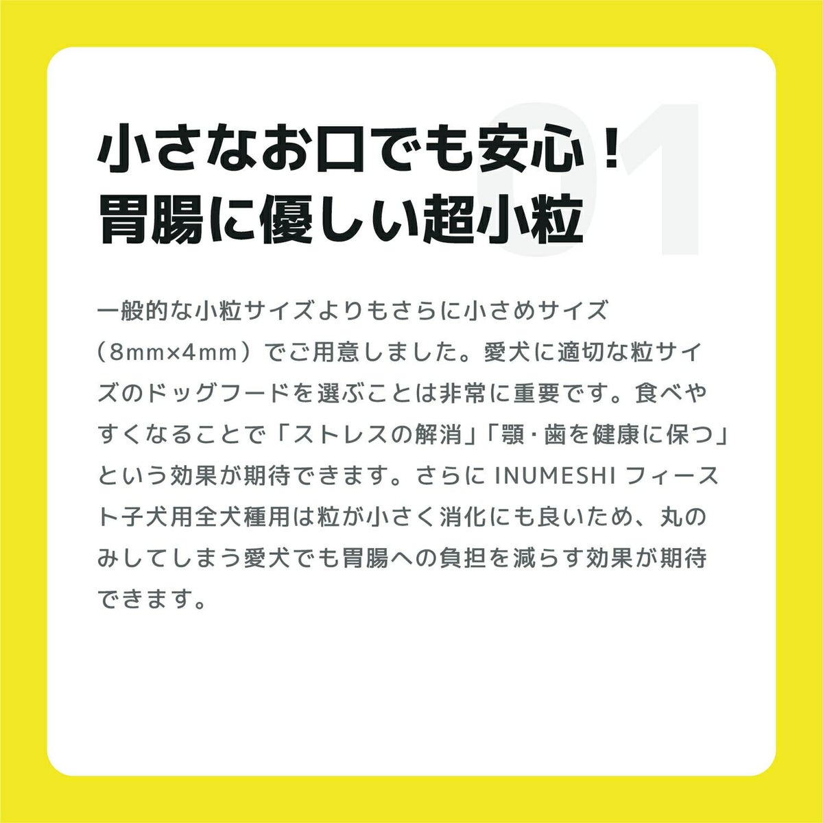 INUMESHI　フィースト　子犬用　全犬種用　200g（100g×2袋）　おためしパック