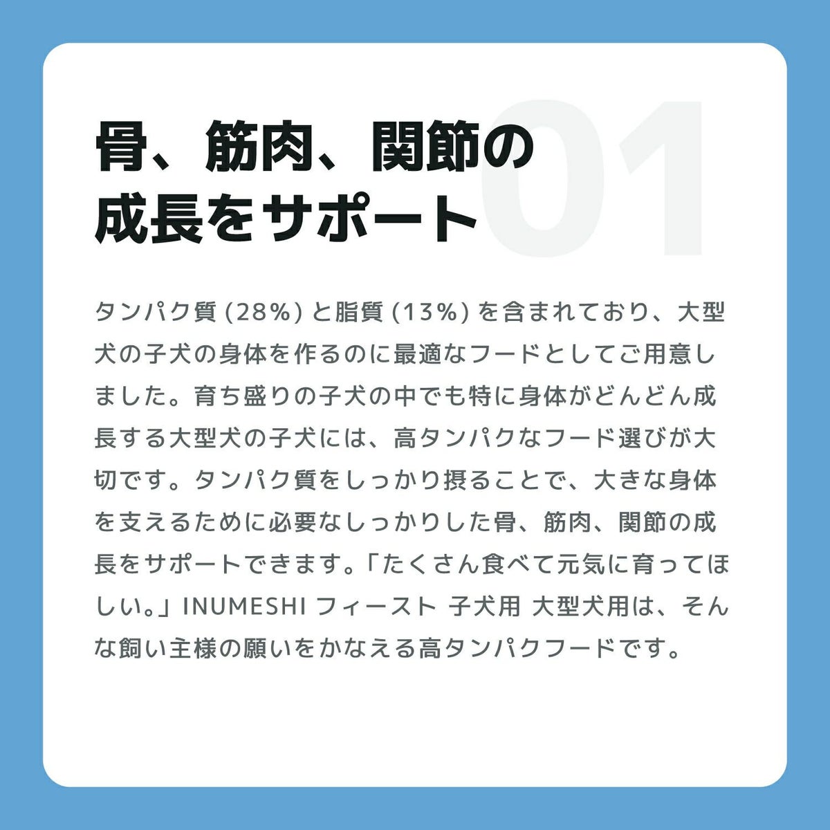 INUMESHI　フィースト　子犬用　大型犬用　200g（100g×2袋）　おためしパック
