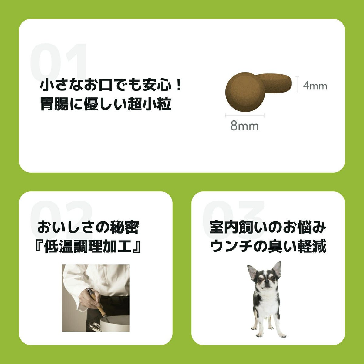 INUMESHI　フィースト　1歳以上　小型犬用　200g（100g×2袋）　おためしパック
