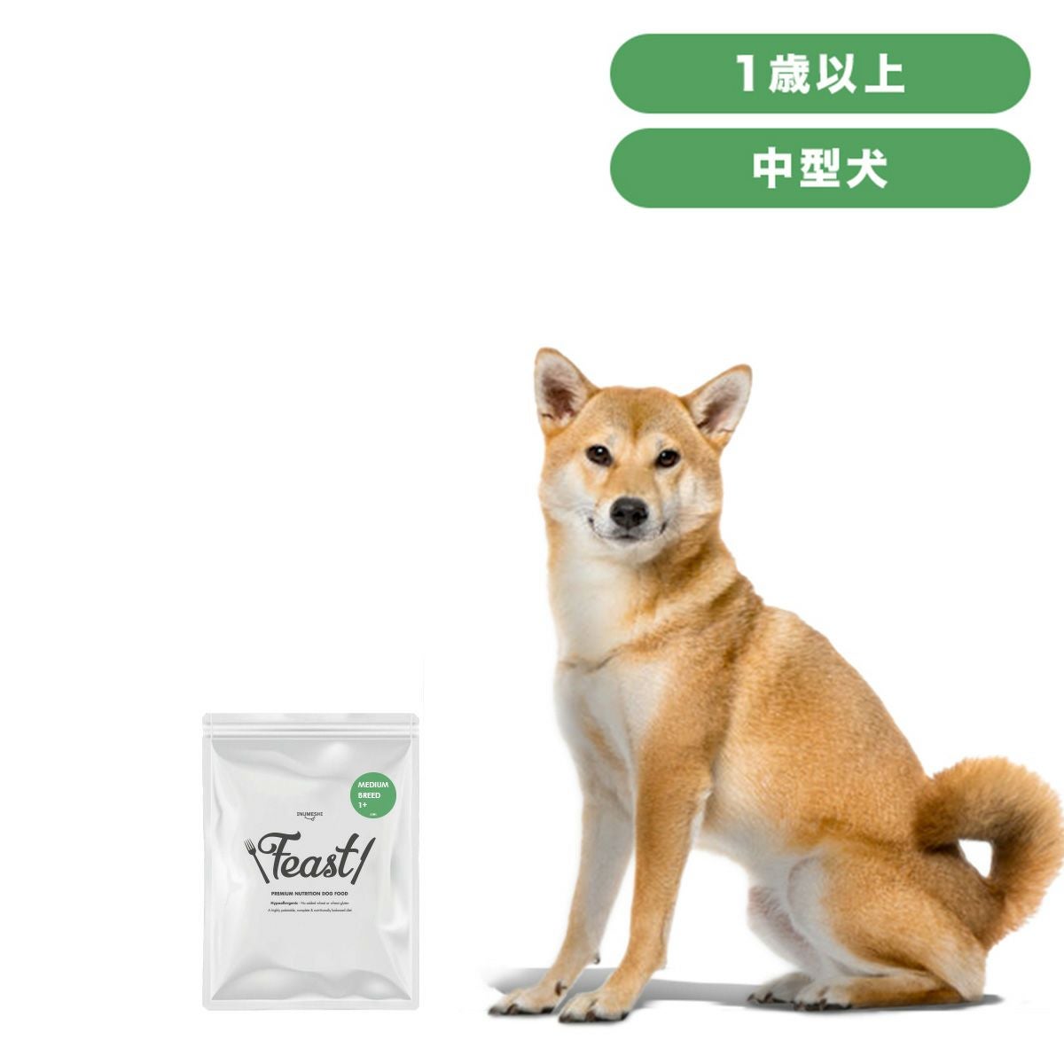 INUMESHI フィースト 1歳以上 中型犬用 15kg ブリーダーパック