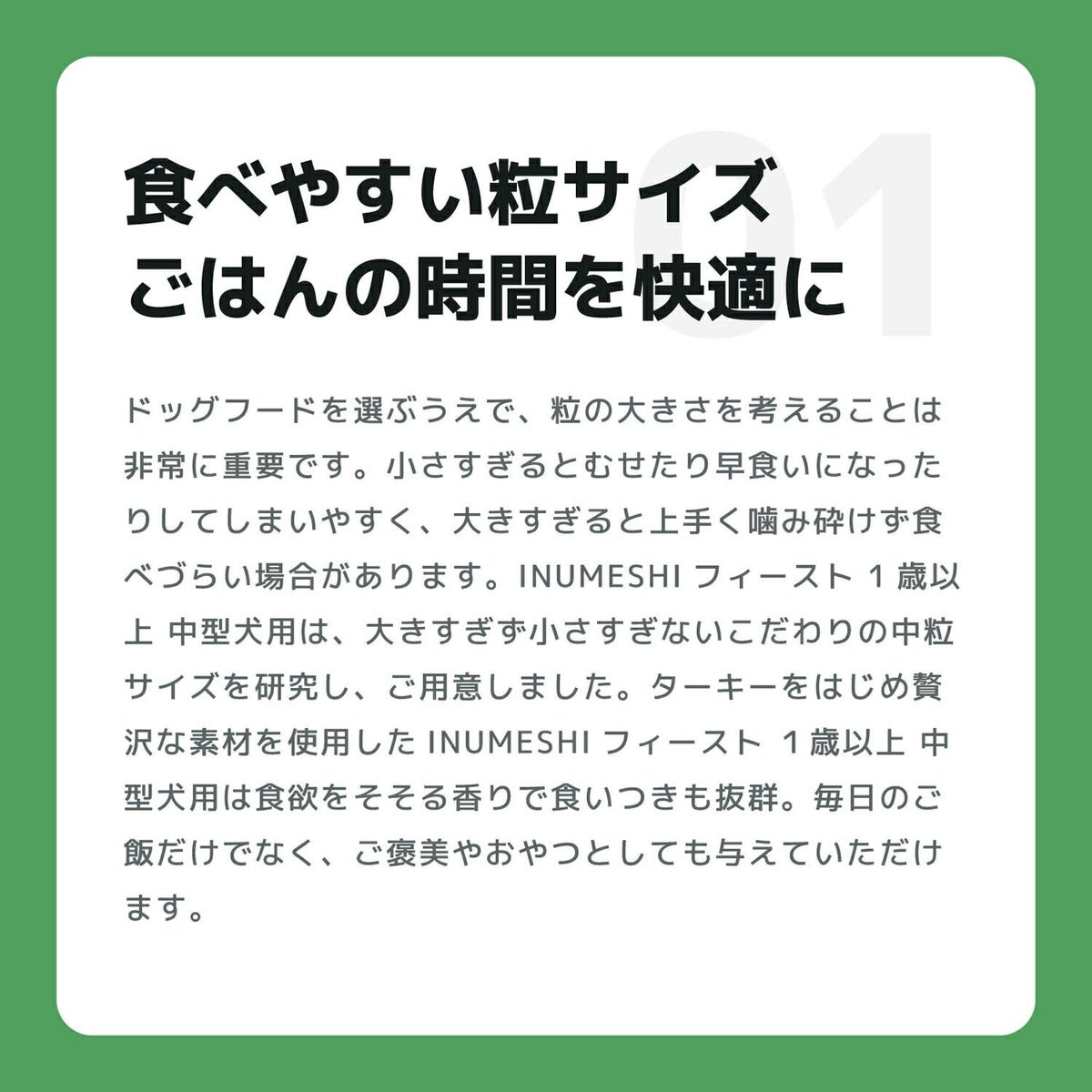 INUMESHI　フィースト　1歳以上　中型犬用　200g（100g×2袋）　おためしパック