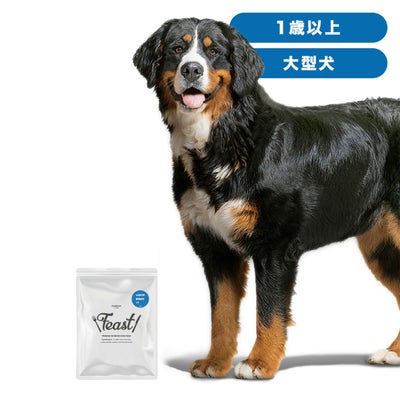 INUMESHI　フィースト　1歳以上　大型犬用　200g（100g×2袋）　おためしパック