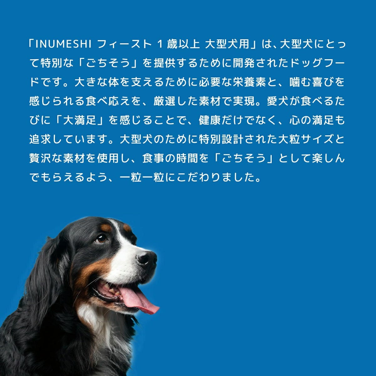 INUMESHI　フィースト　1歳以上　大型犬用　200g（100g×2袋）　おためしパック