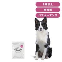 INUMESHI　フィースト　プレミアム　パフォーマンス　1歳以上　活発犬用　200g（100g×2袋）　おためしパック