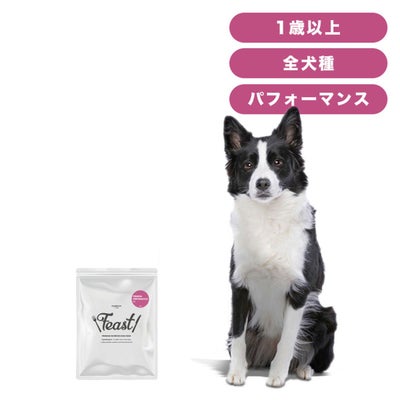INUMESHI　フィースト　プレミアム　パフォーマンス　1歳以上　活発犬用　200g（100g×2袋）　おためしパック