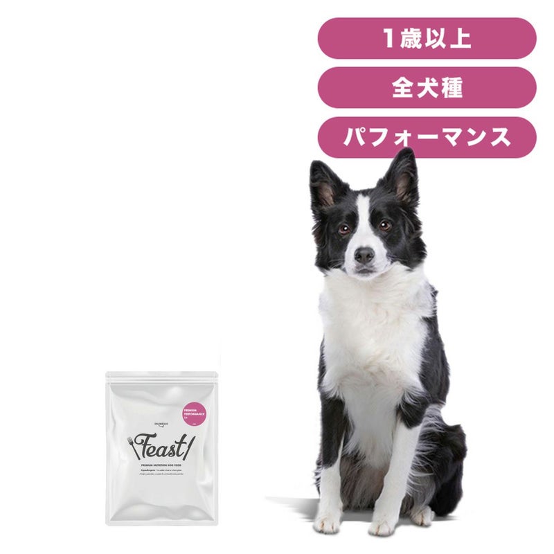 INUMESHI　フィースト　プレミアム　パフォーマンス　1歳以上　活発犬用　200g（100g×2袋）　おためしパック