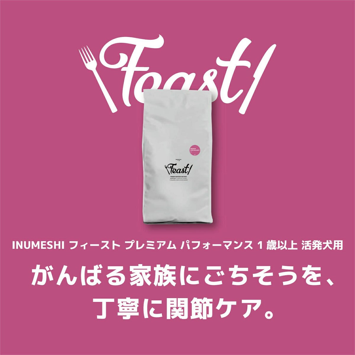 INUMESHI　フィースト　プレミアム　パフォーマンス　1歳以上　活発犬用　200g（100g×2袋）　おためしパック