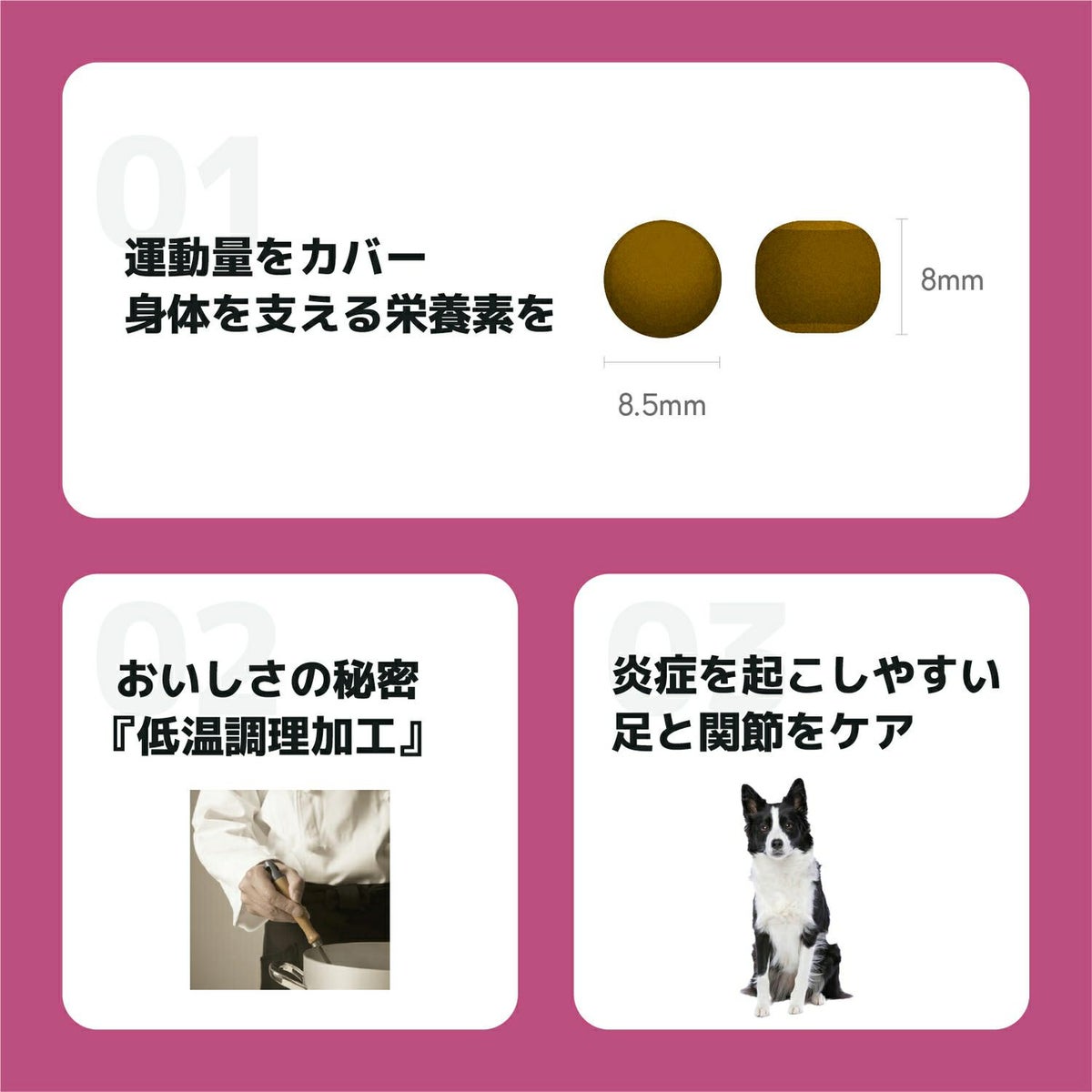 INUMESHI　フィースト　プレミアム　パフォーマンス　1歳以上　活発犬用　200g（100g×2袋）　おためしパック