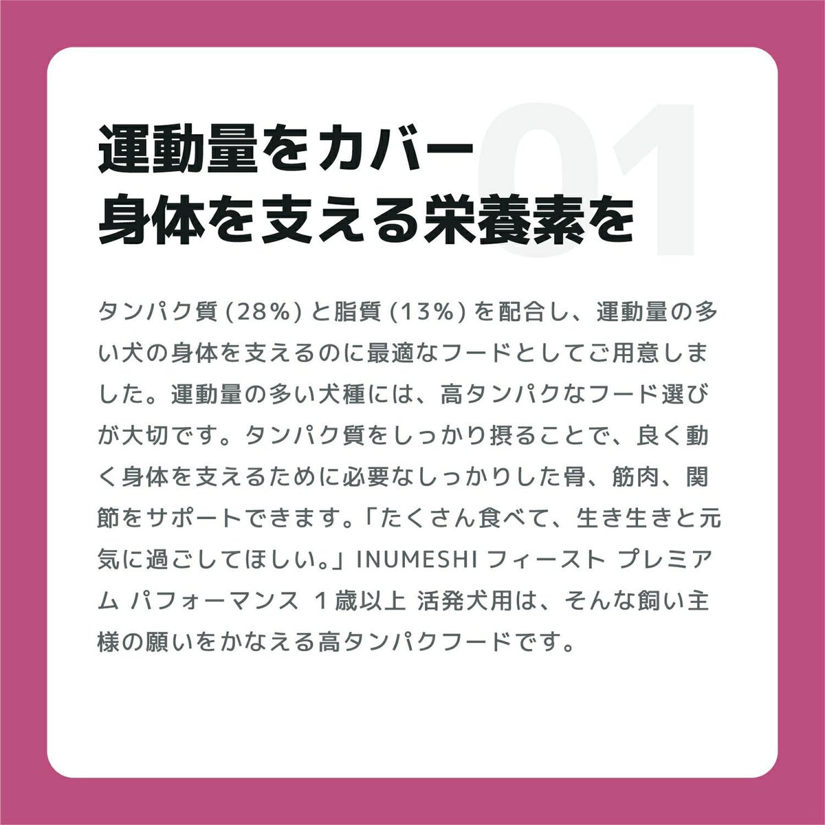 INUMESHI　フィースト　プレミアム　パフォーマンス　1歳以上　活発犬用　200g（100g×2袋）　おためしパック