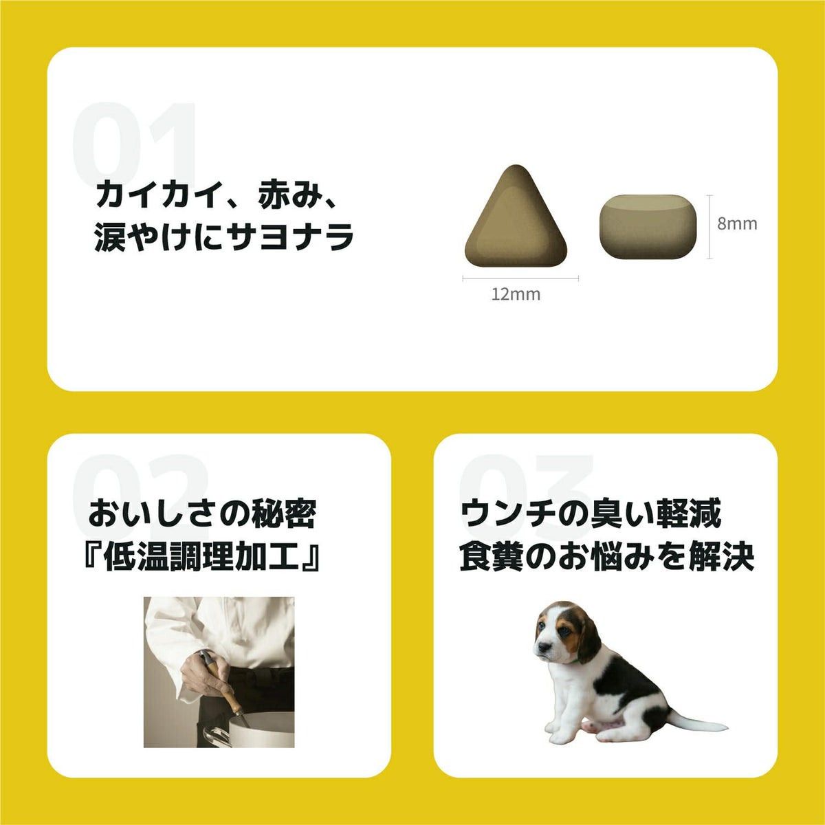 INUMESHI　フィースト　ラム&ライス　子犬用　全犬種用　200g（100g×2袋）　おためしパック