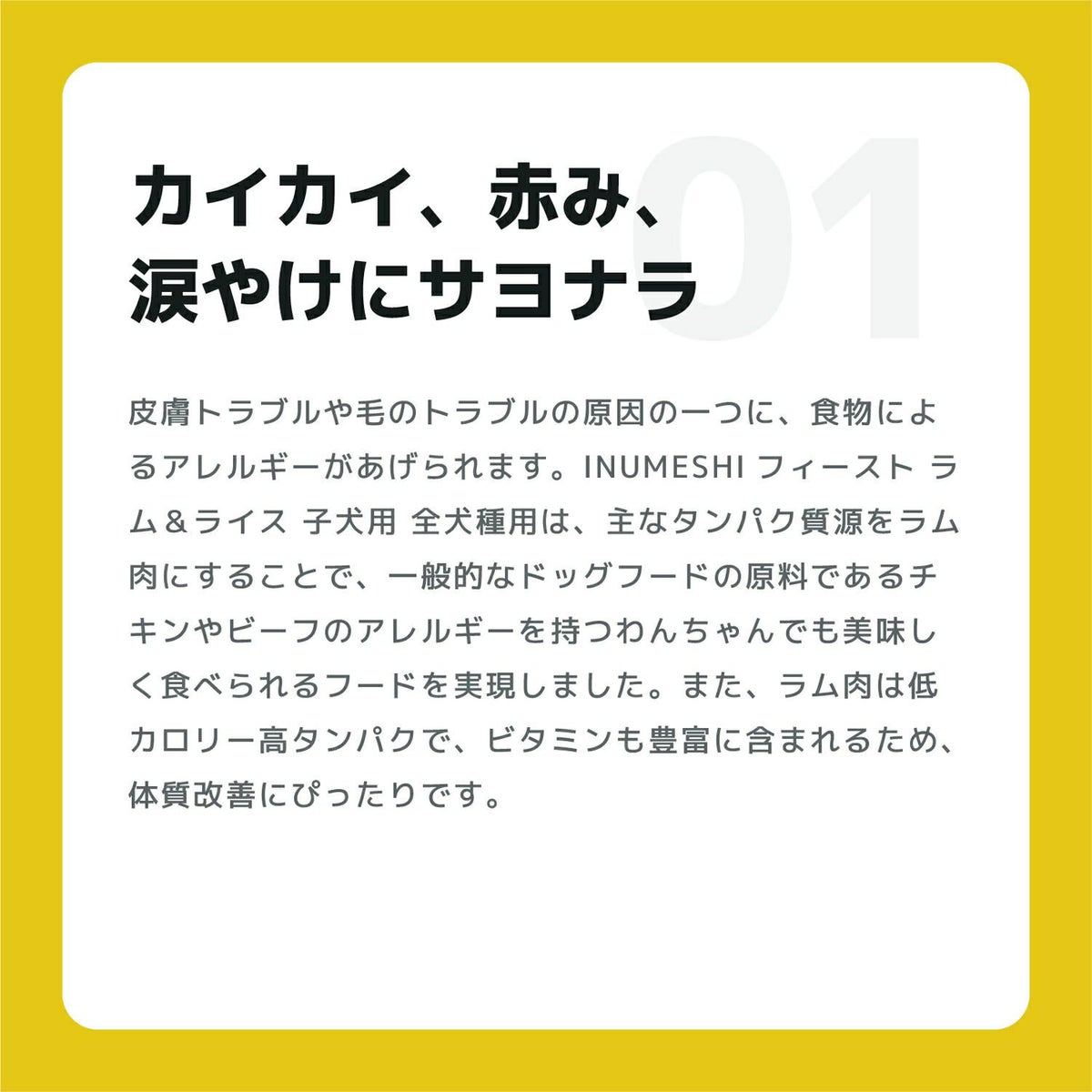 INUMESHI　フィースト　ラム&ライス　子犬用　全犬種用　200g（100g×2袋）　おためしパック