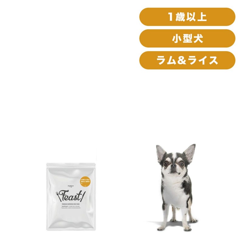 INUMESHI　フィースト　ラム&ライス　1歳以上　小型犬用　200g（100g×2袋）　おためしパック