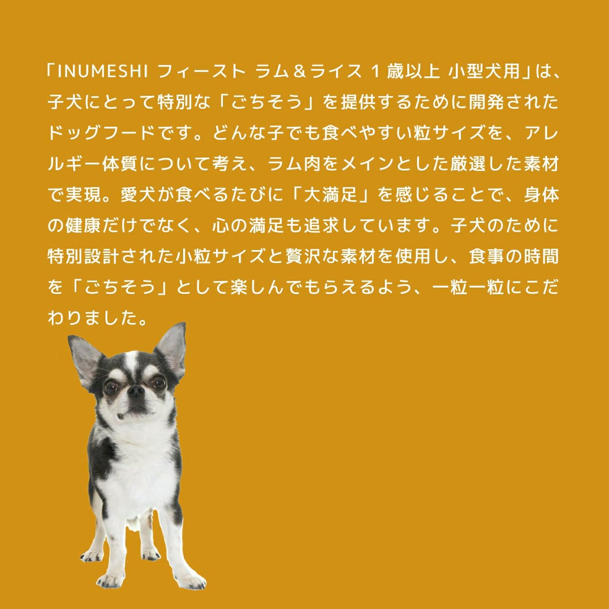 INUMESHI　フィースト　ラム&ライス　1歳以上　小型犬用　200g（100g×2袋）　おためしパック