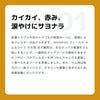 INUMESHI　フィースト　ラム&ライス　1歳以上　小型犬用　200g（100g×2袋）　おためしパック