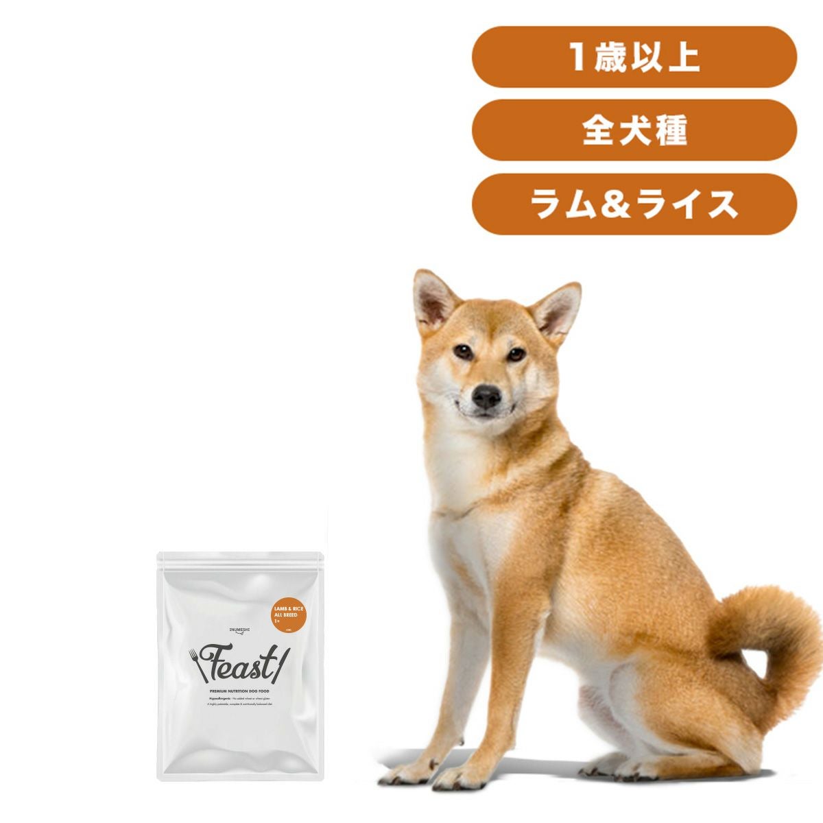 Feast!　フィースト　1歳以上　大型犬用　大粒　15kg　ブリーダーパック INUMESHI フィースト 1歳以上 大型犬用 大粒 15kg ブリーダーパック