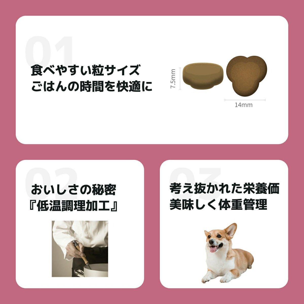 INUMESHI　フィースト　体重管理用　1歳以上　全犬種用　200g（100g×2袋）　おためしパック