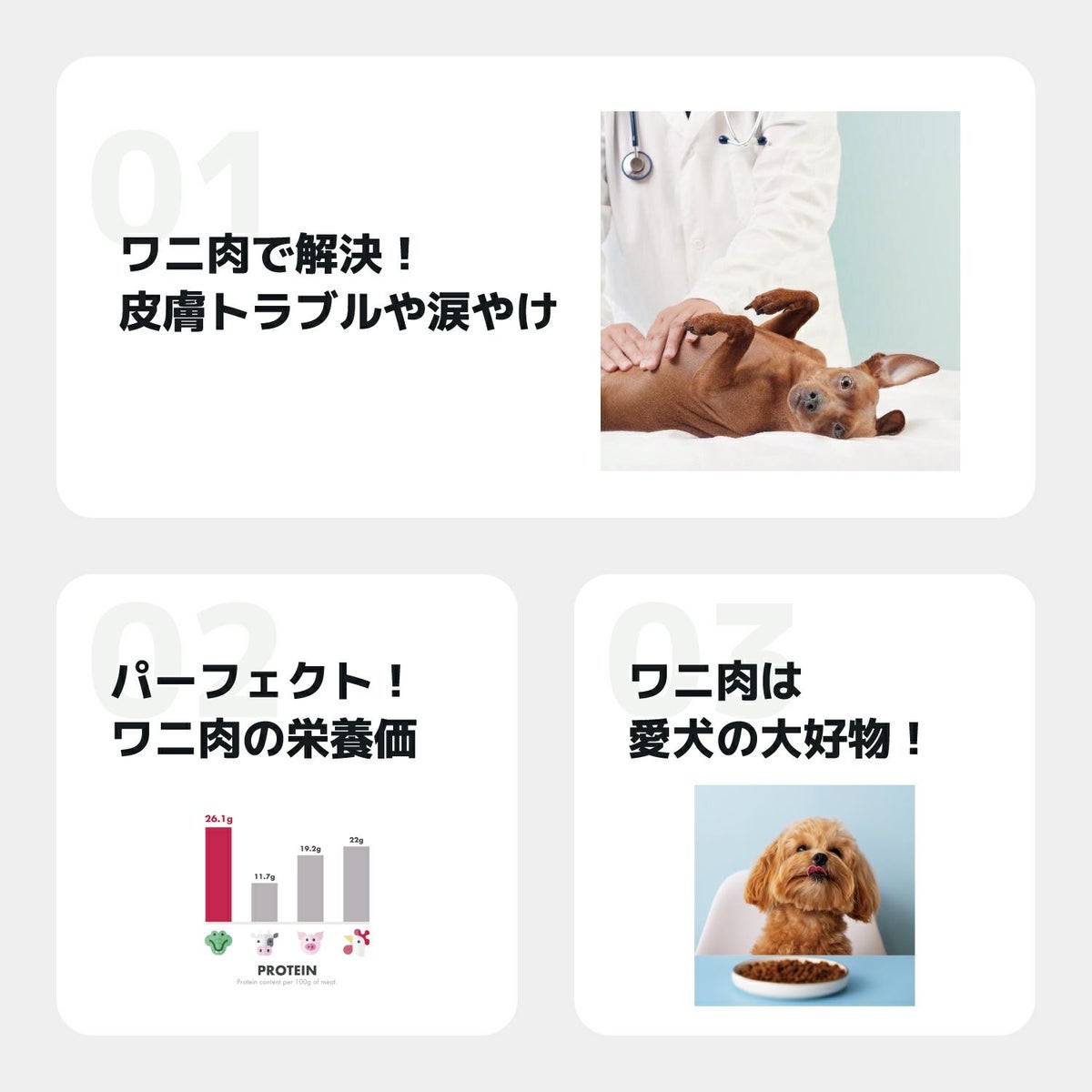 INUMESHI　SEBEK（セベク） ワニ肉ドッグフード　100g