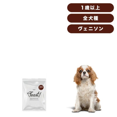 INUMESHI　フィースト　プレミアム　ヴェニソン　成犬用　全犬種用　1歳以上　200g（100g×2袋）　おためしパック　穀物不使用 （グレインフリー）