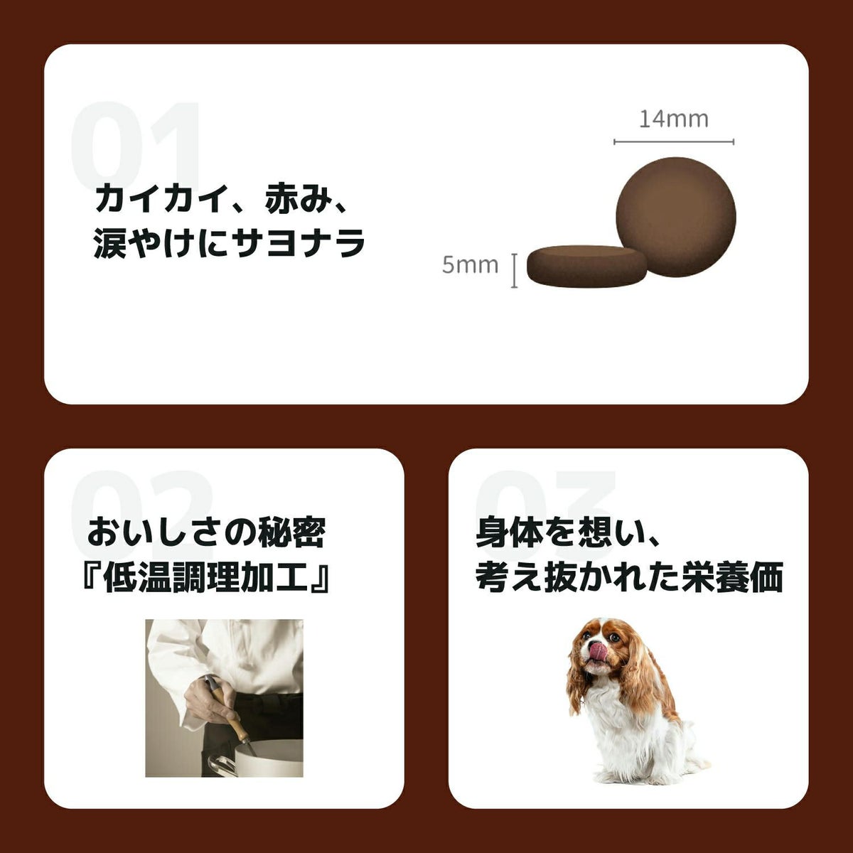 INUMESHI　フィースト　プレミアム　ヴェニソン　成犬用　全犬種用　1歳以上　1kg