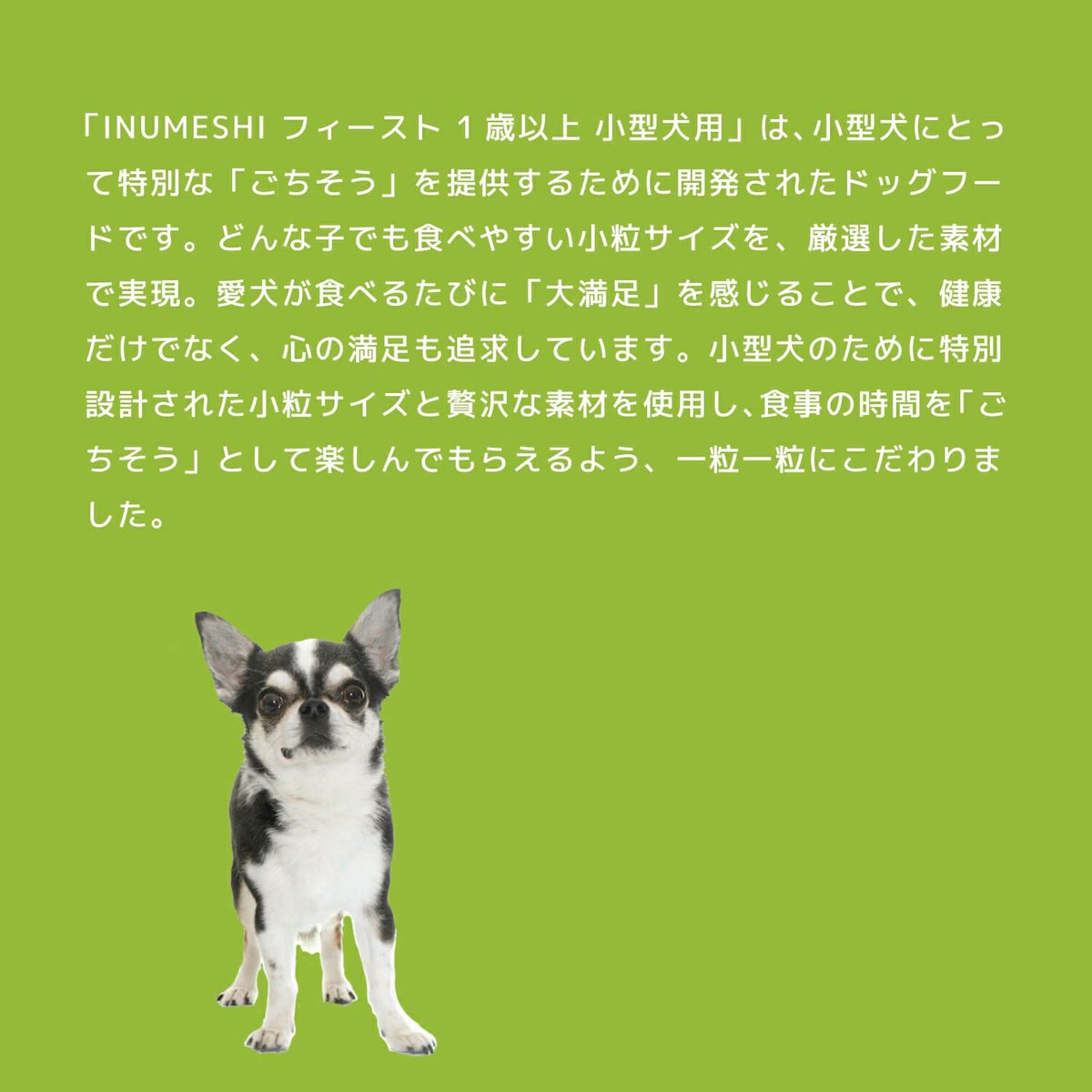 INUMESHI　フィースト　1歳以上　小型犬用　5kg